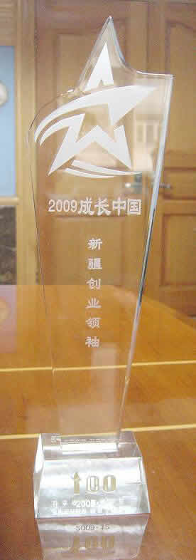 2009成長(zhǎng)中國(guó)·新疆創(chuàng)業(yè)領(lǐng)袖獎(jiǎng)
