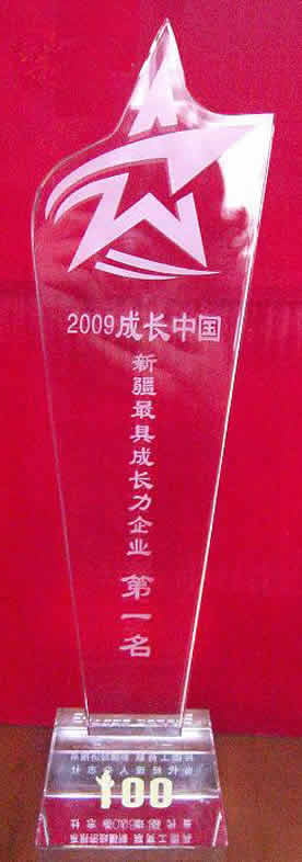 2009成長(zhǎng)中國(guó)·新疆最具成長(zhǎng)力企業(yè)獎(jiǎng)
