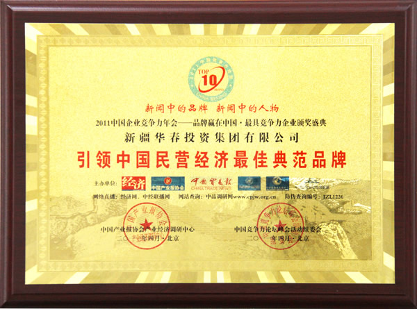 2011引領中國民營經(jīng)濟最佳典范品牌